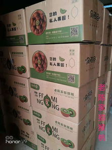 凤鸣谷猕猴桃农产品品牌设计